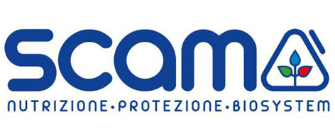 SCAM